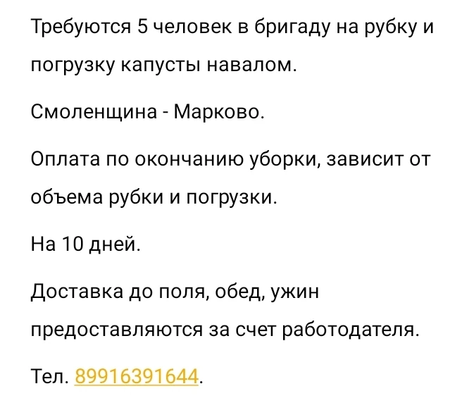 ➡️ @RabotaShelehov38