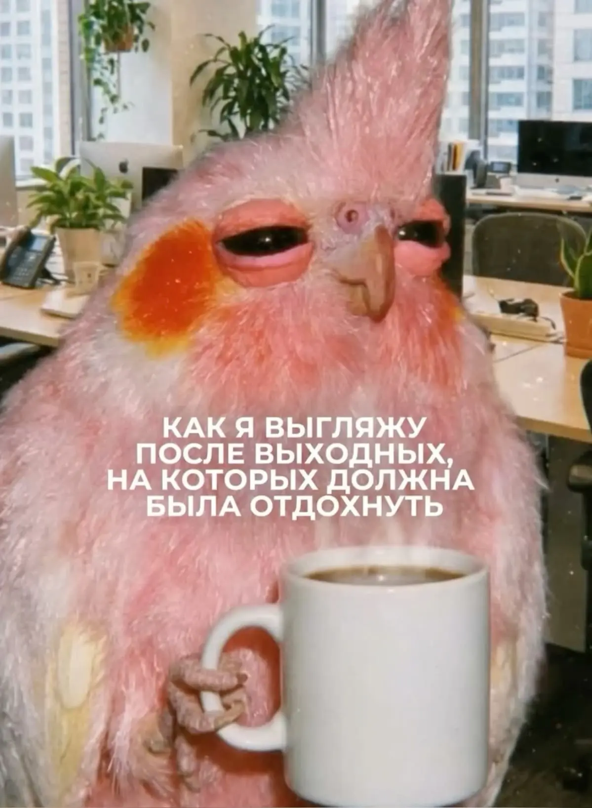 Успели отдохнуть за выходные?🥱