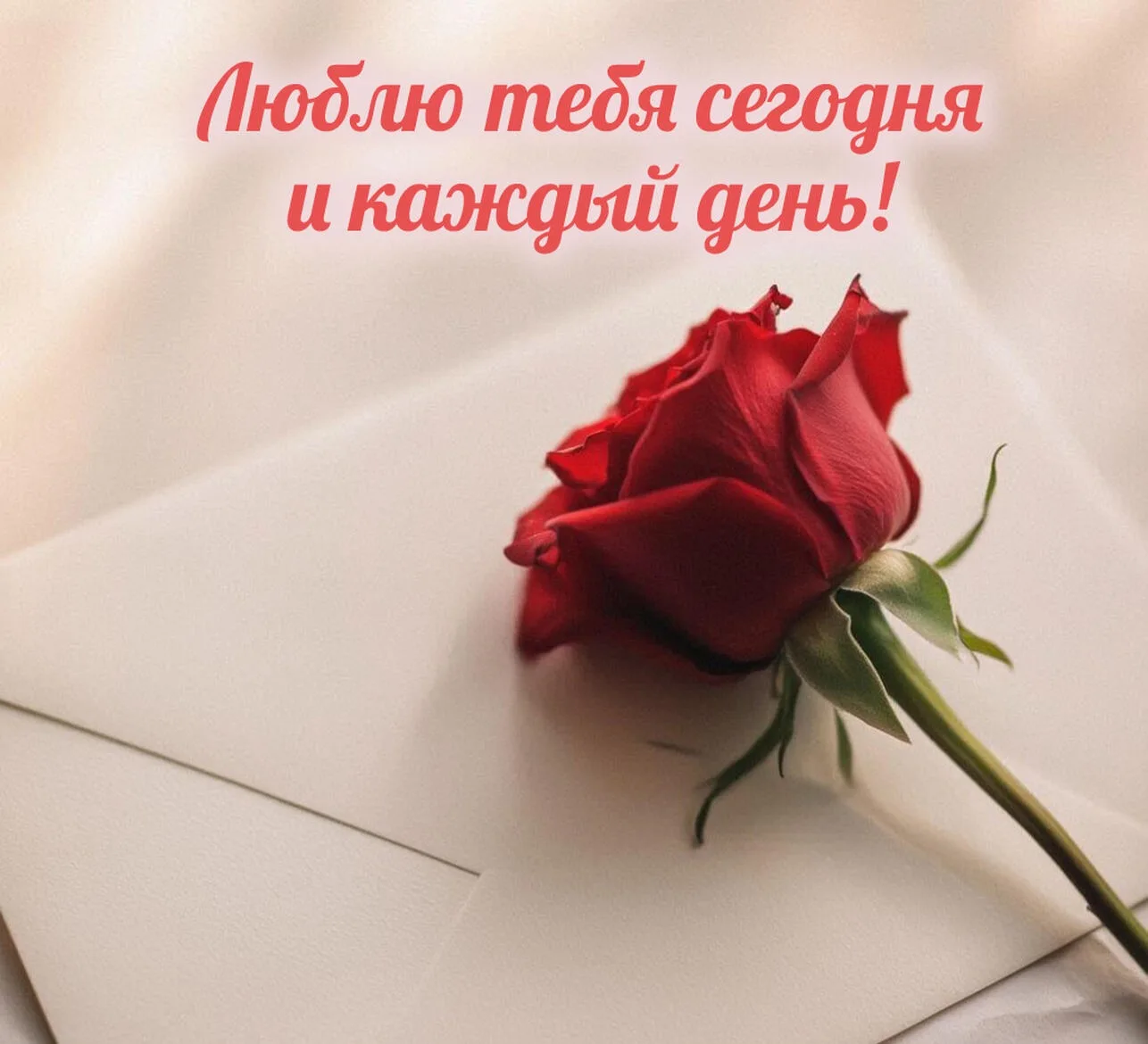 ❤️❤️❤️❤️❤️❤️❤️❤️