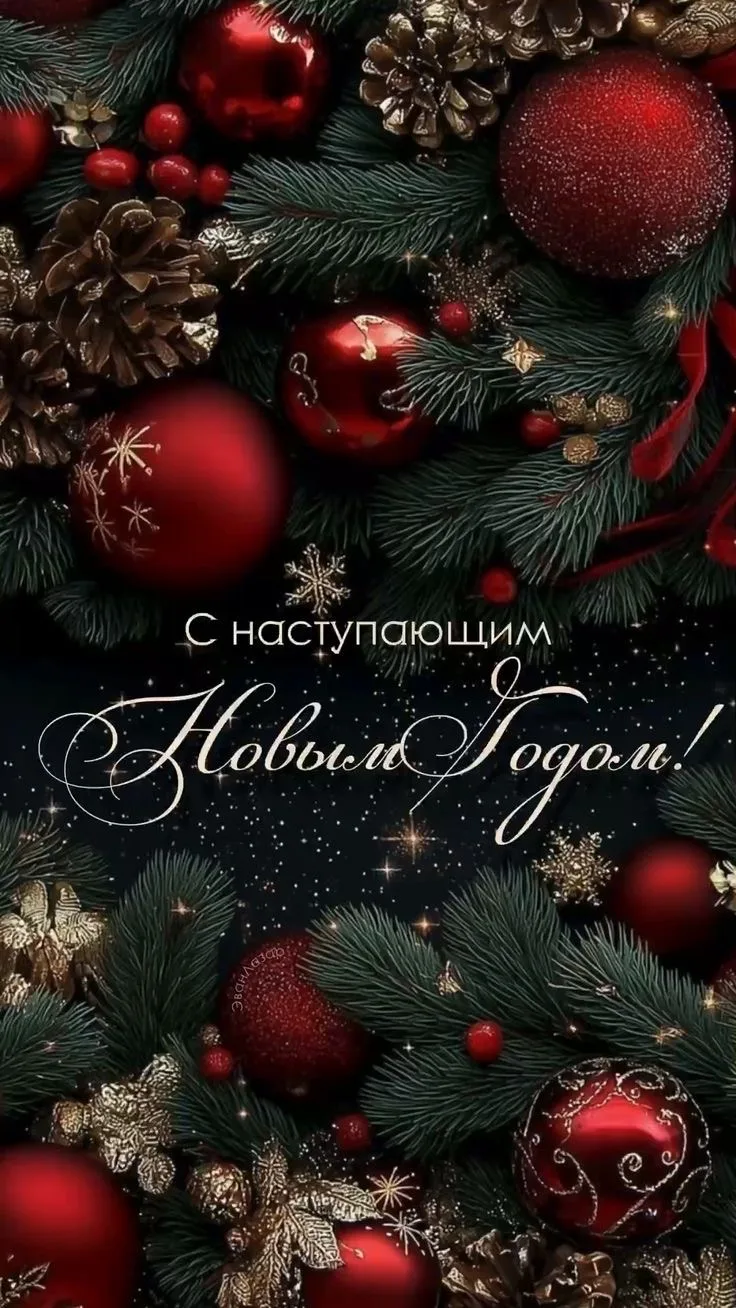 Дорогие коллеги!