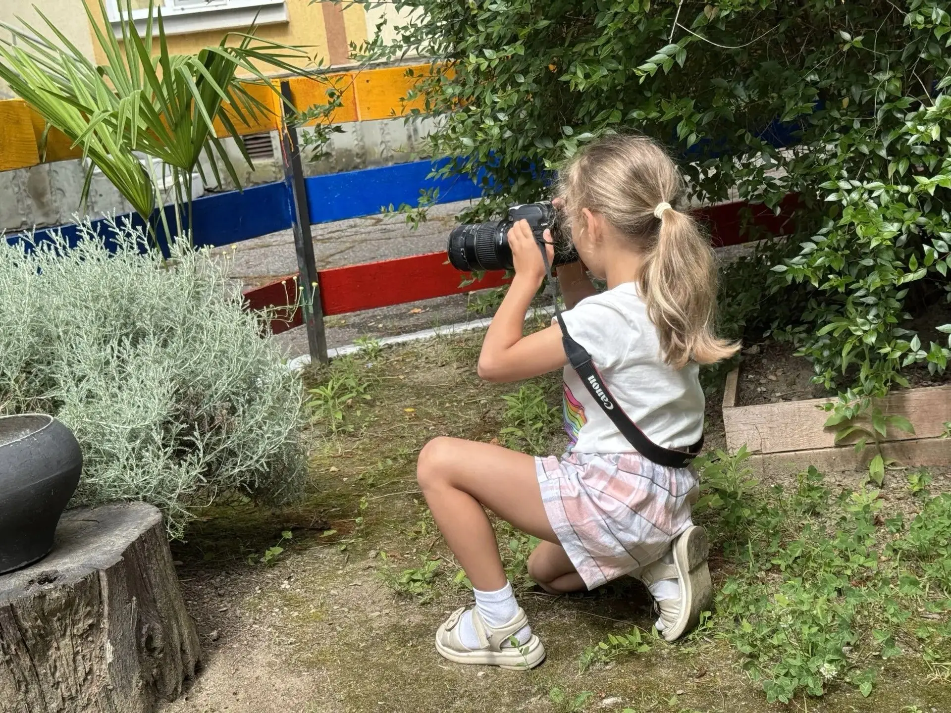 ФОТОГРАФИРУЕМ ПРИРОДУ
Остановись, мгновение!
 
Фото-челлендж в День фотографии природы устроили стар