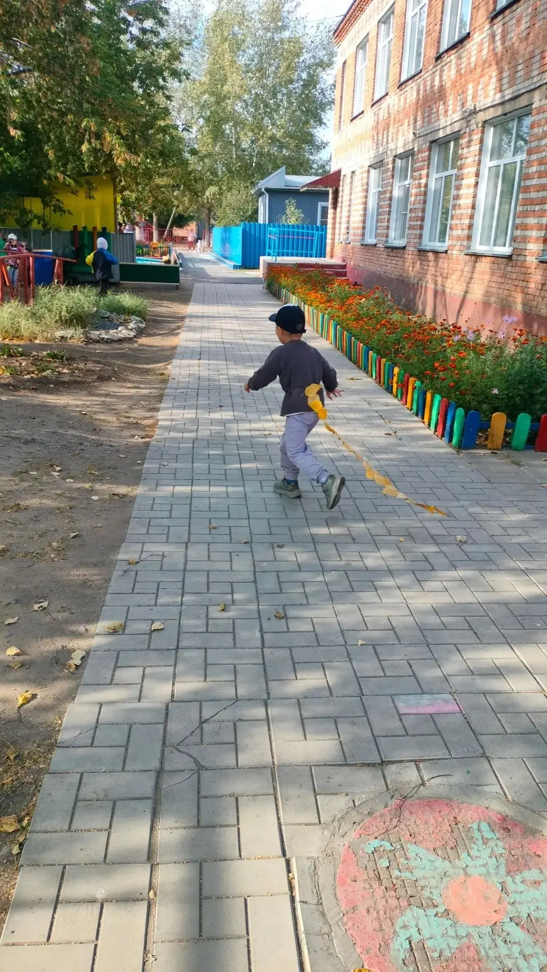 Уроки под открытым небом