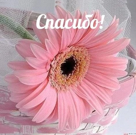 Открытки: подписаться ❤️