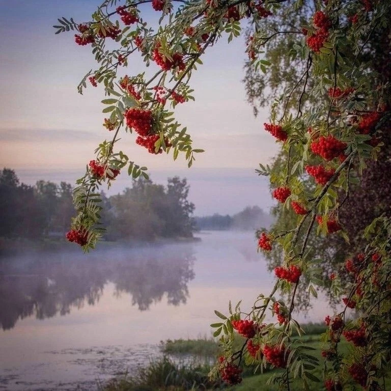 Воздуха столько: дыши не хочу —