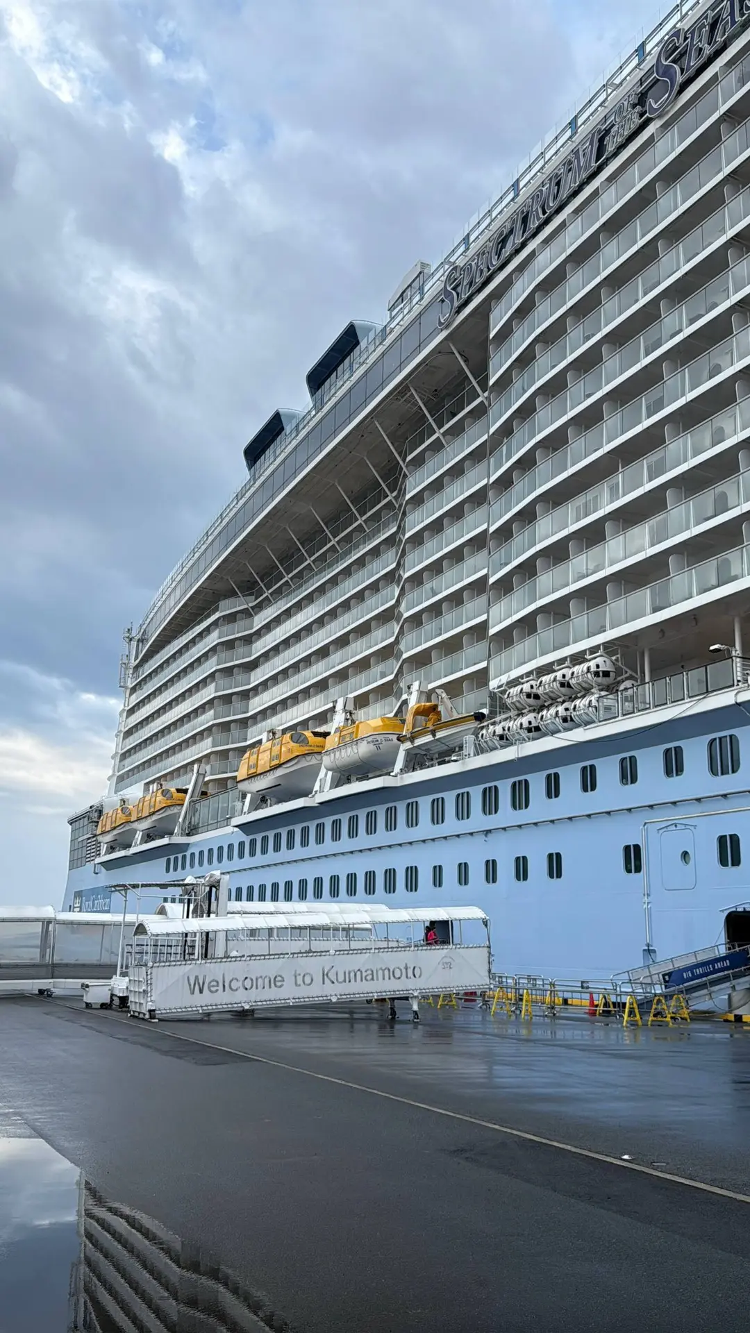 🛳Круизы «за ручку» Royal из Шанхая — идеальный вариант для новичков
