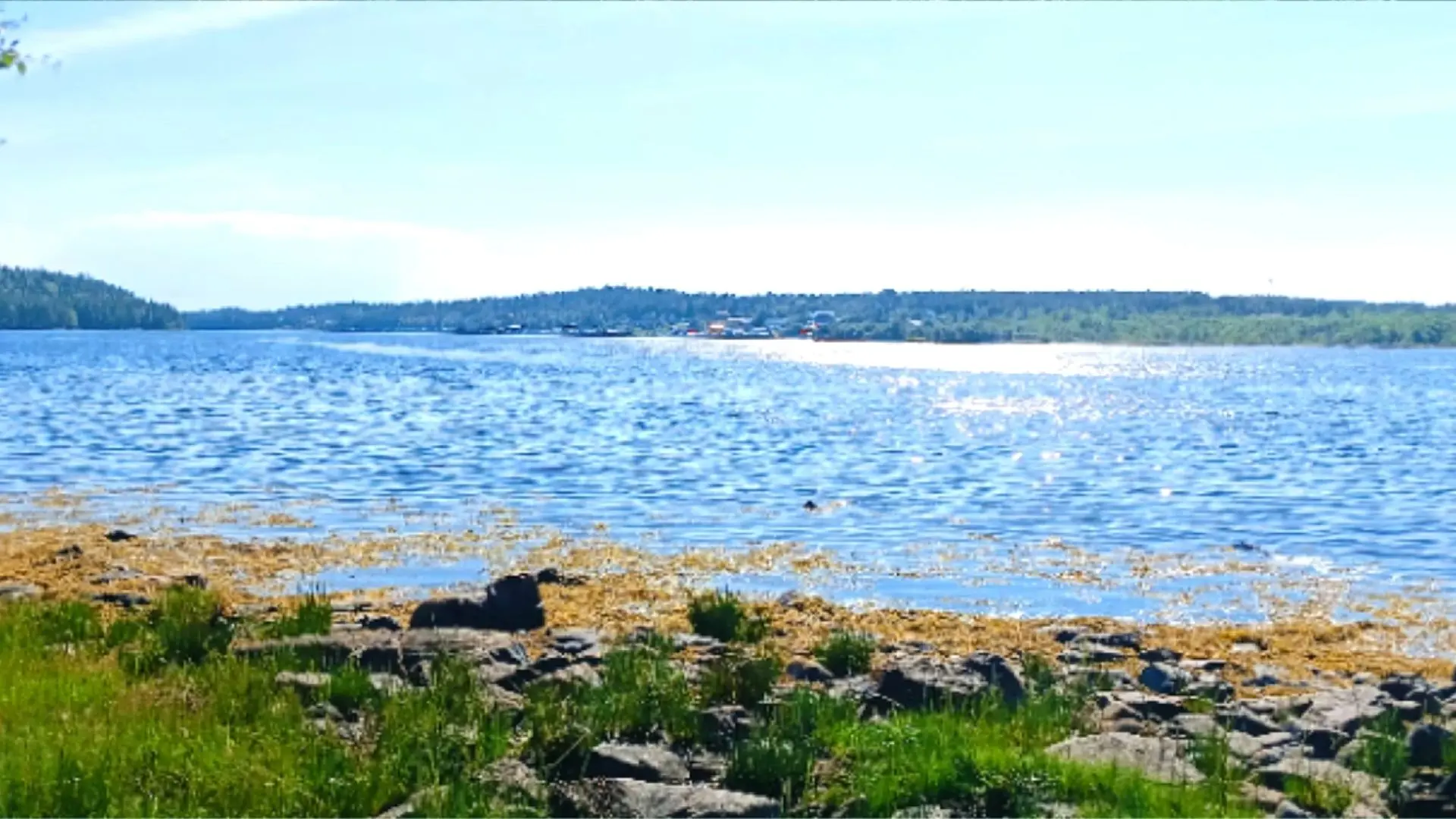 Доброе утро, дорогие родители и наши любимые ребята! ☀️

Сегодня 13 июля, понедельник, и в лагере «З