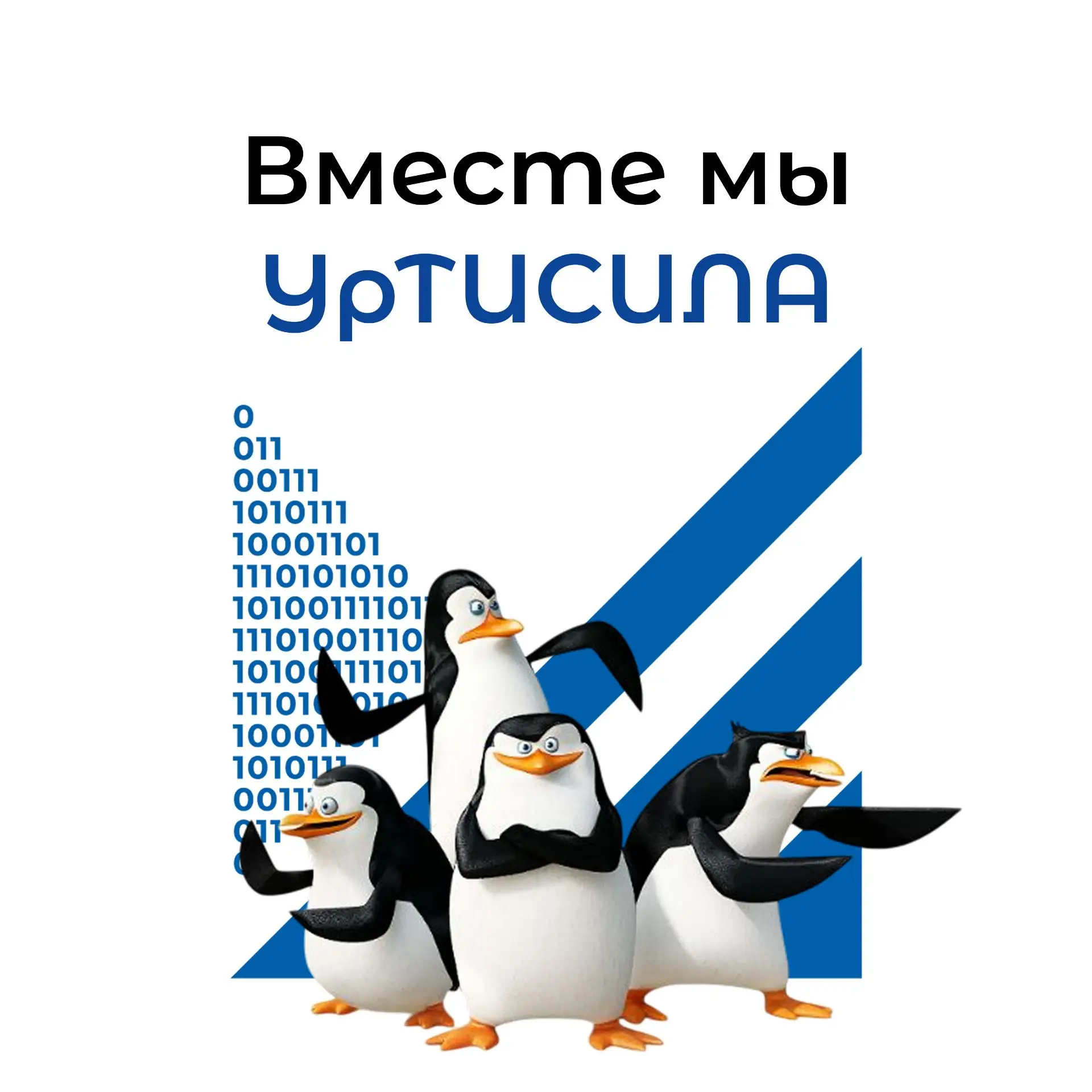 🌟 Первокурсникам – списки групп ВО