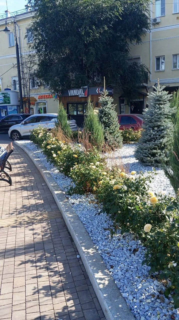 Самарцы восхищаются новыми клумбами на площади Революции