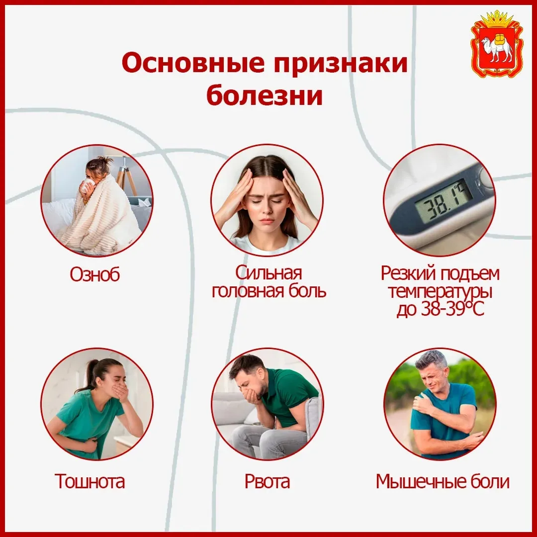 🌲 Клещевой энцефалит: как защитить себя?  Сезон активности клещей уже начался. Чтобы не рисковать зд