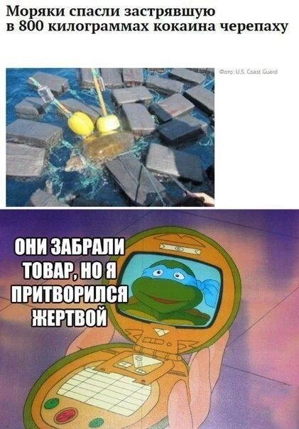 Кино Абсурдус