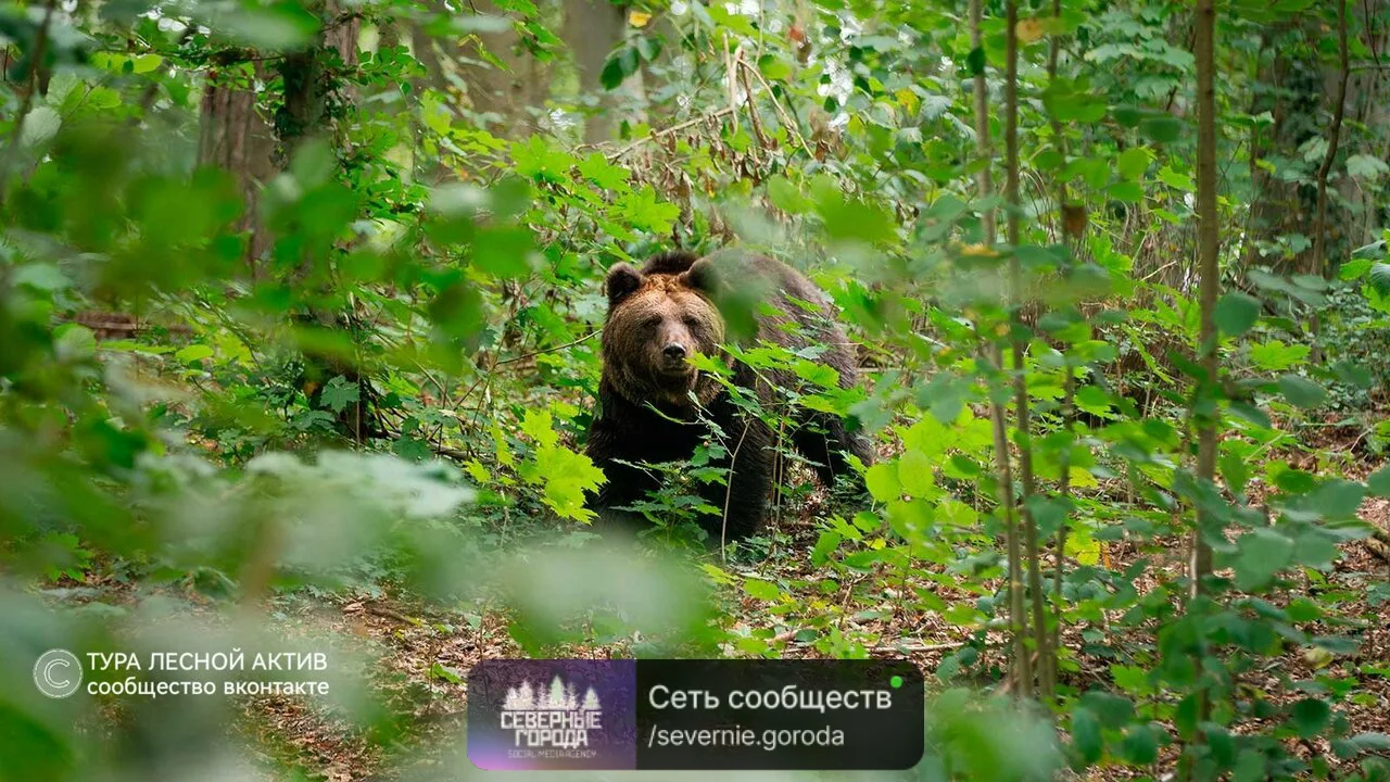 Из первых уст