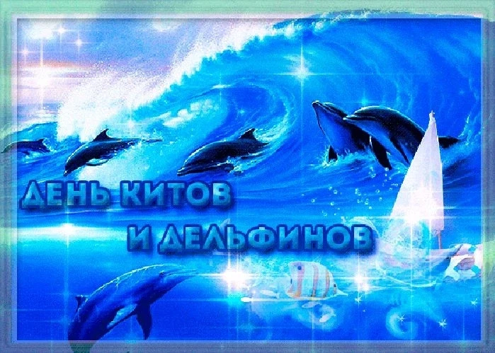 🐋 Сегодня — Всемирный день китов и дельфинов! 🌊 
23 июня мир отмечает важный экологический праздни