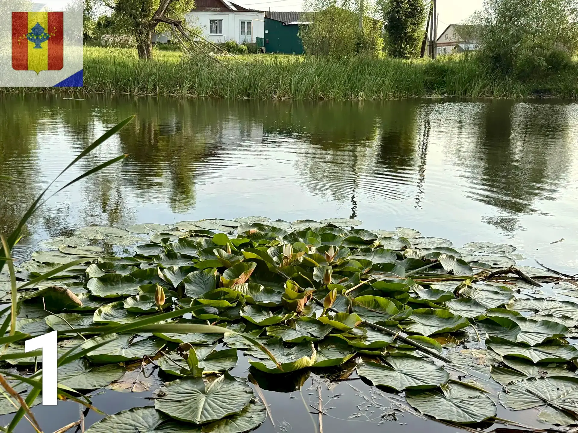 🤗Уважаемые подписчики. Вашему вниманию представлены четыре фотографии природы. Три из ...