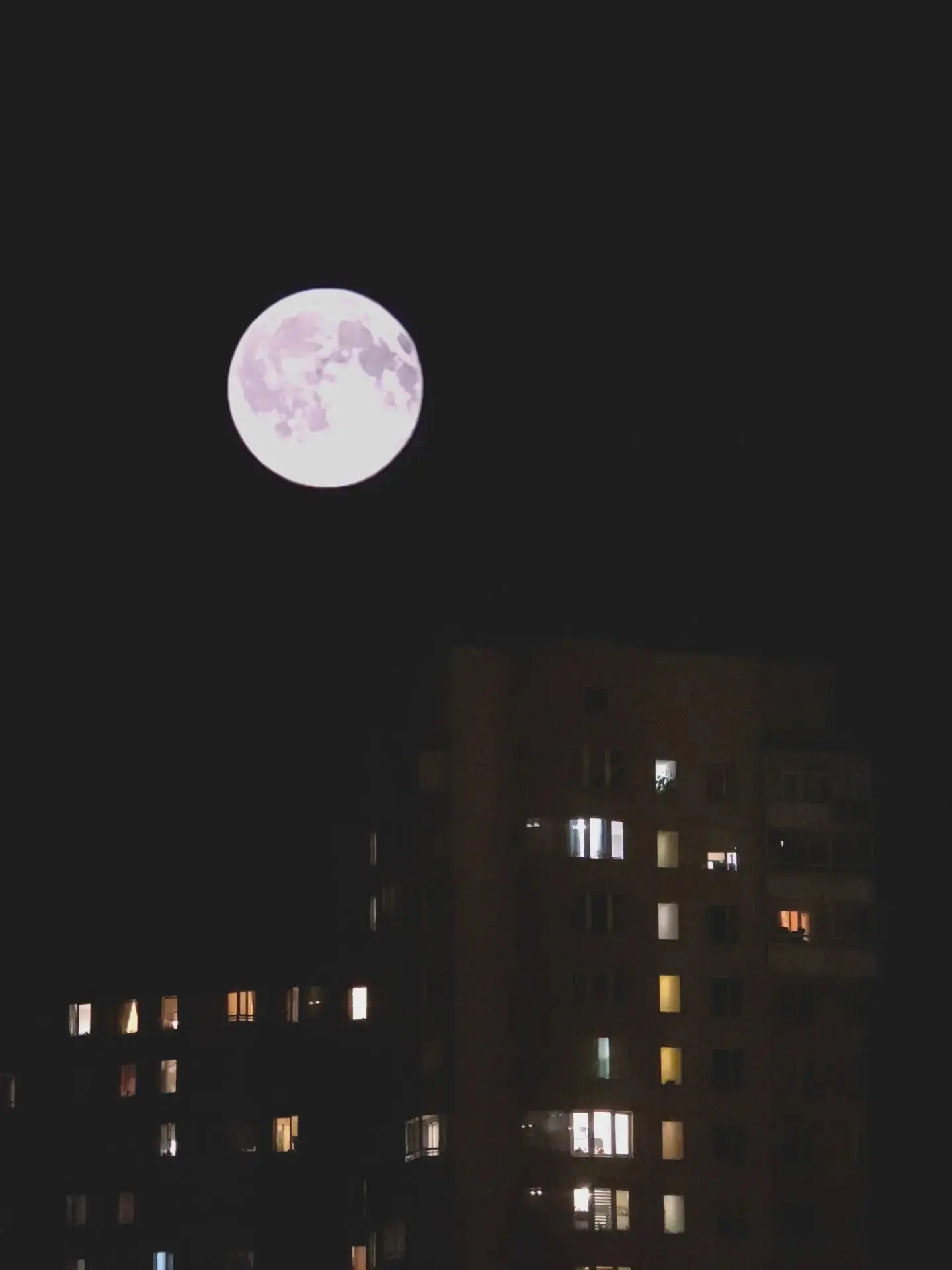 #фото_дня