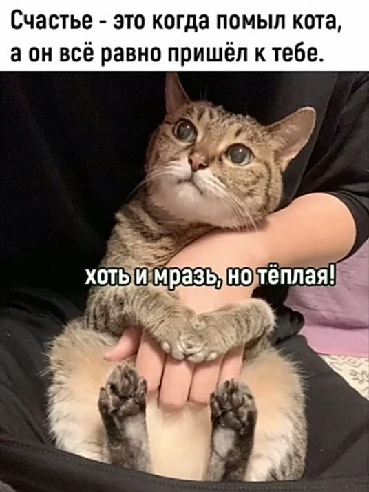 Подпишись на юмор 😂