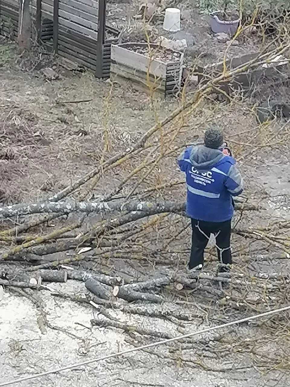 От читателя:  Кому то клен помешал....
