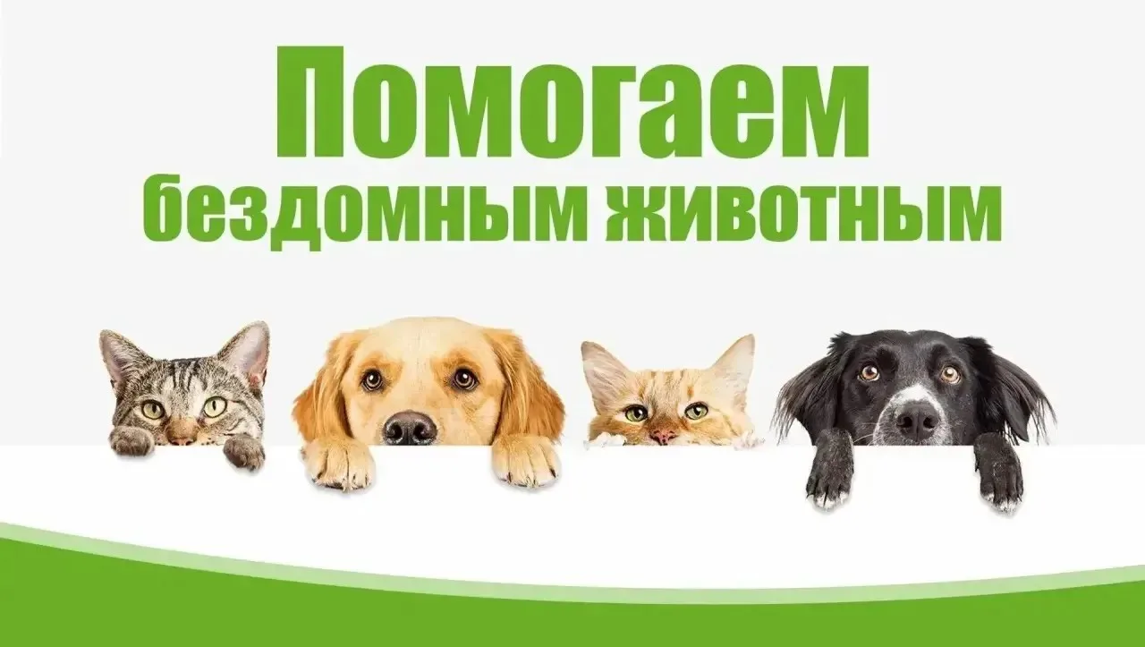 🐾Поможем хвостикам вместе!