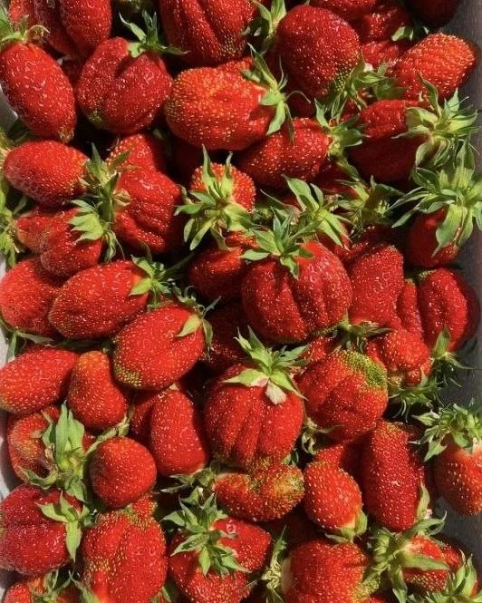 Доброе утро, Вилючинск!🍓