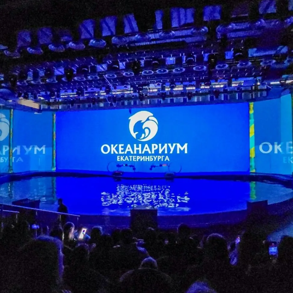 🆕ТВД "Дельфин шоу "Морской круиз" + Бизнес центр Высоцкий "🆕