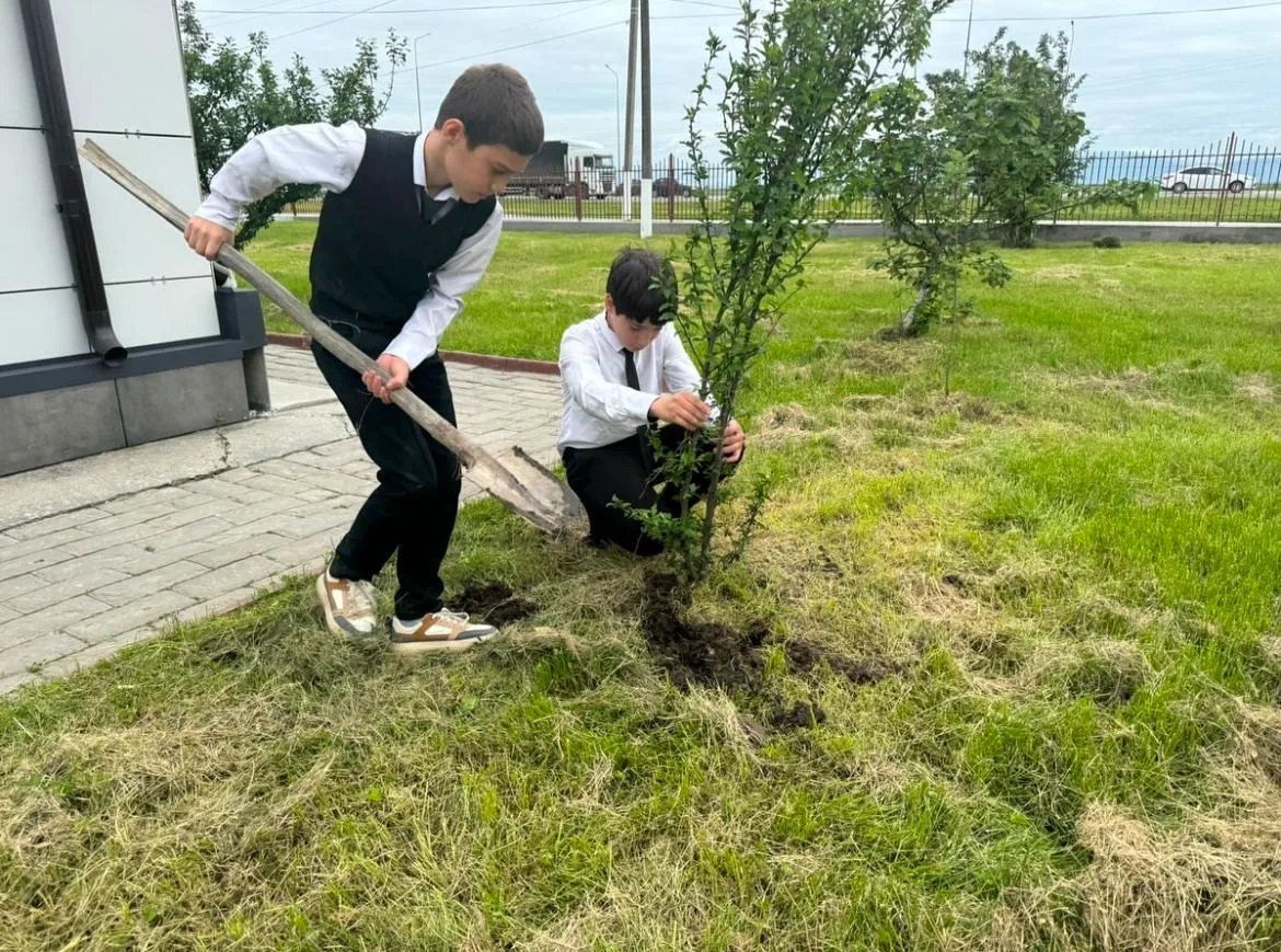 В рамках Всероссийского дня Эколят наши ученики приняли участие в добром и полезном деле — посадке д