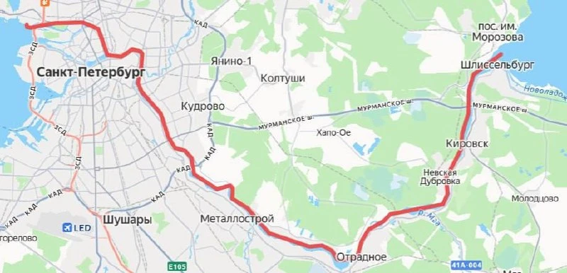 77 километров по Неве проплыл Александр Зайцев из Барнаула.