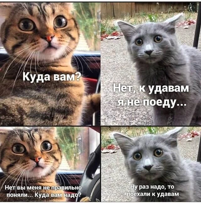 Подпишись, чтобы не потерять👇
Тёплый гусь• Юмор