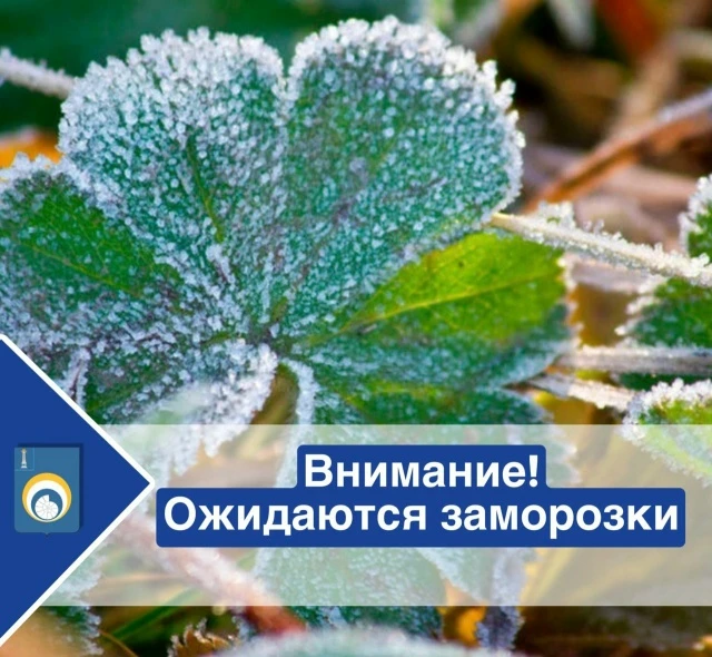 Прогноз погоды на 11 сентября: заморозки и туман