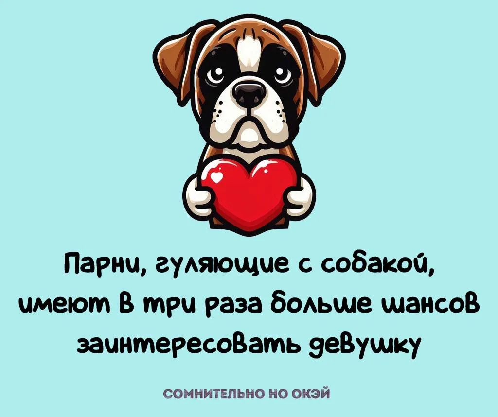 Признавайтесь, знали?