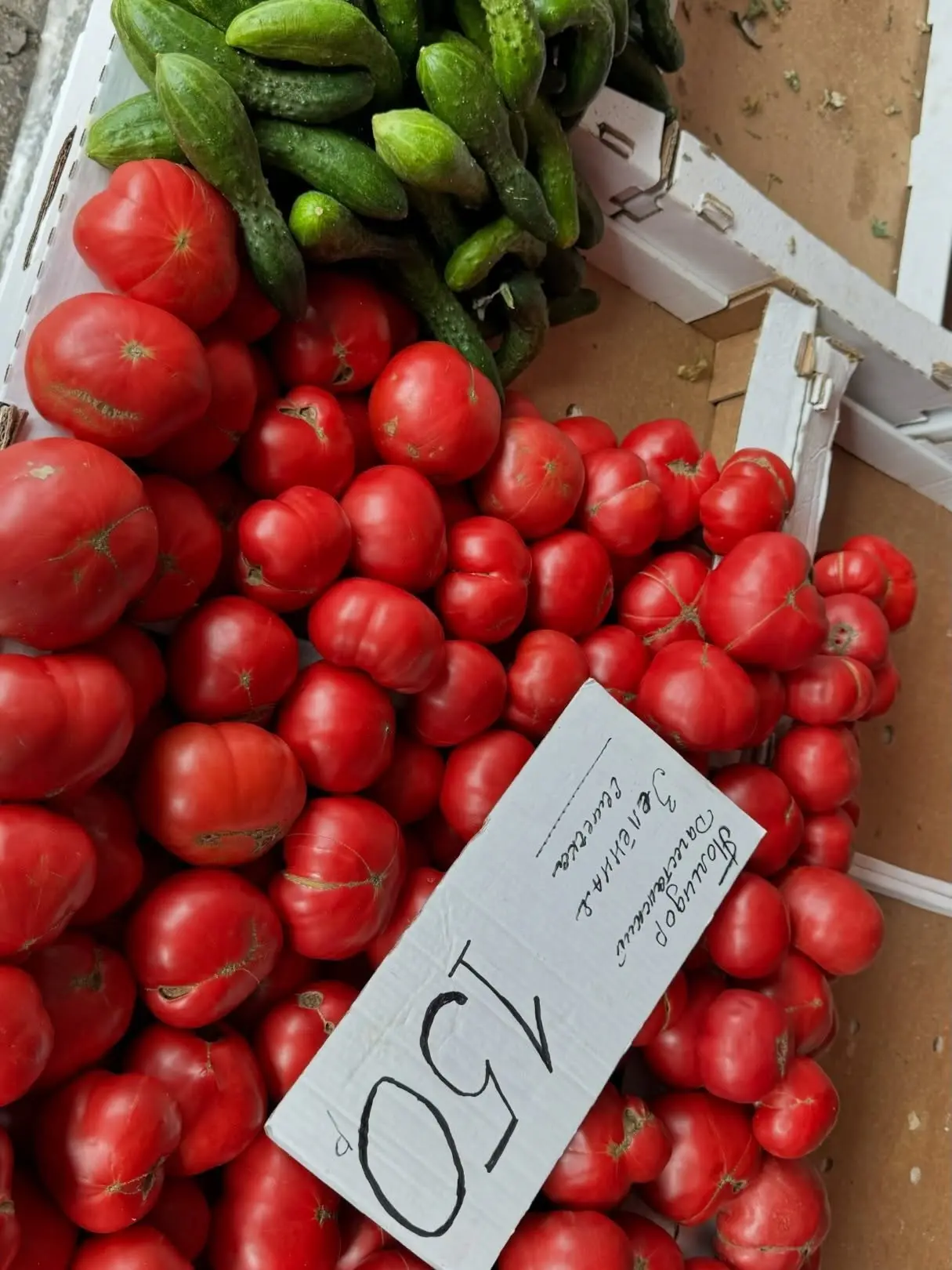 Вкусняшки на ярмарке Фабрициуса 🍅🫐🌶
