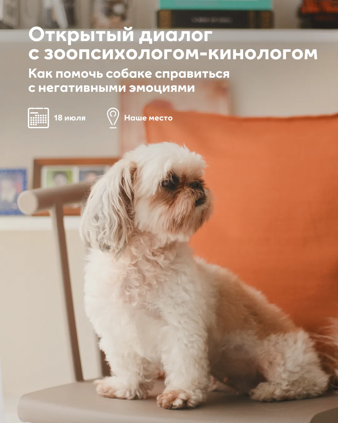 Хвостики тоже испытывают стресс 🐶