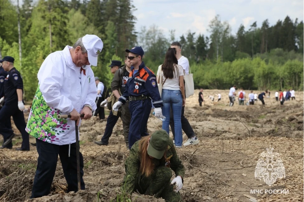 🌳Сотрудники МЧС России Подмосковья приняли участие в акции «Сад Памяти»  Московская область приняла 