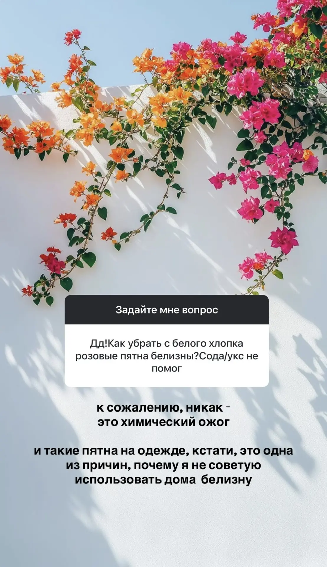 Изображение 2 к публикации «Лёгкий быт с Аидой»
