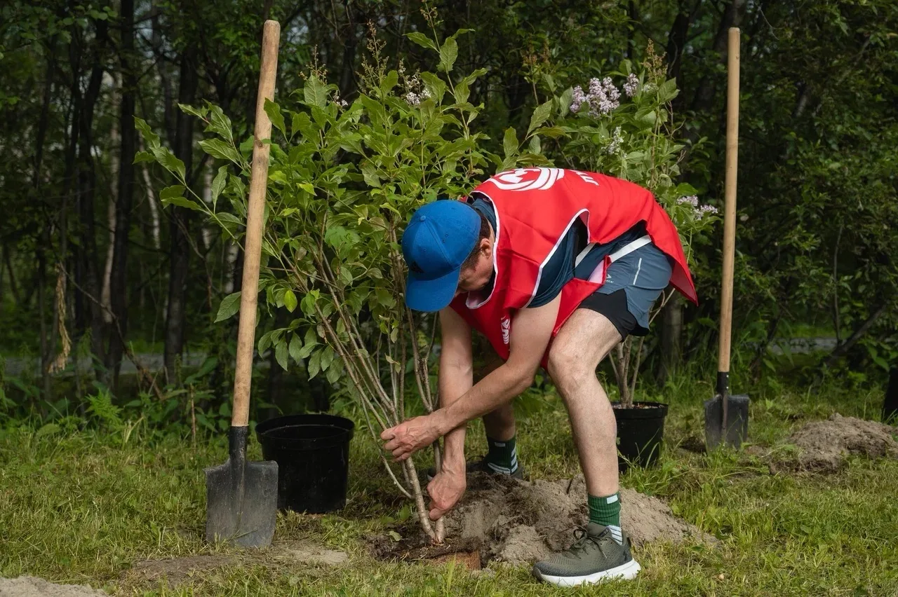 🌳 В Арктике прижилась инициатива ЛУКОЙЛа «Создаём новый лес — 35 тысяч деревьев»