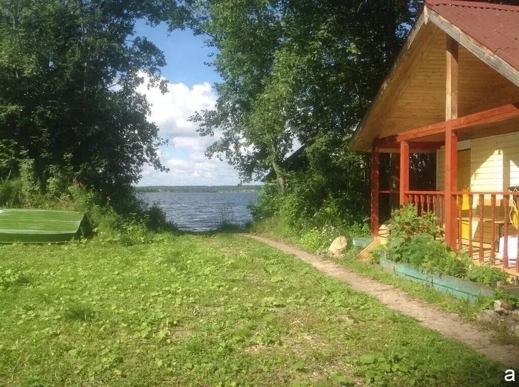 Голос из озера