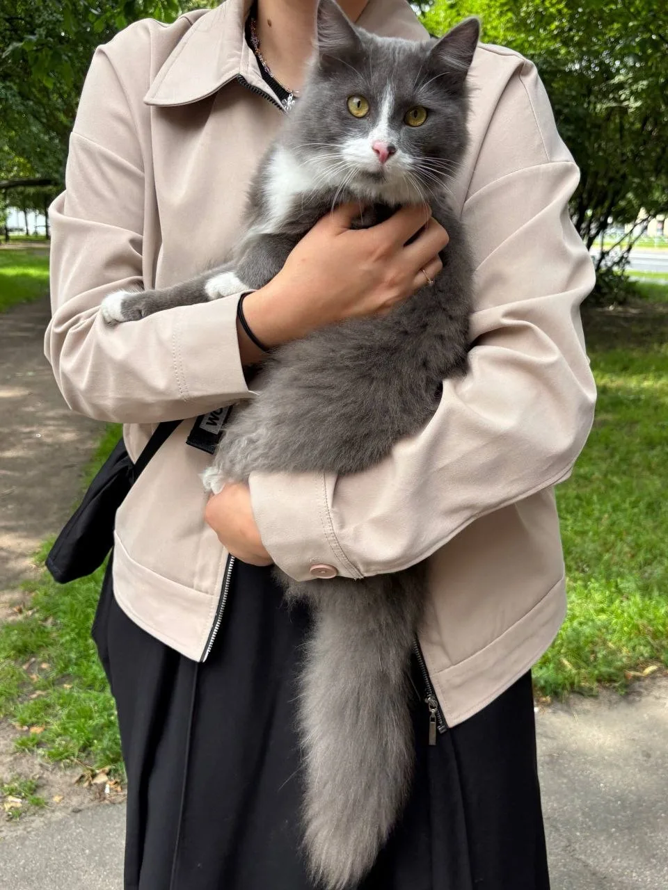 Подписчики подобрали потеряшку

"Нашли кошечку недалеко от Василеостровского рынка. Выглядит очень у