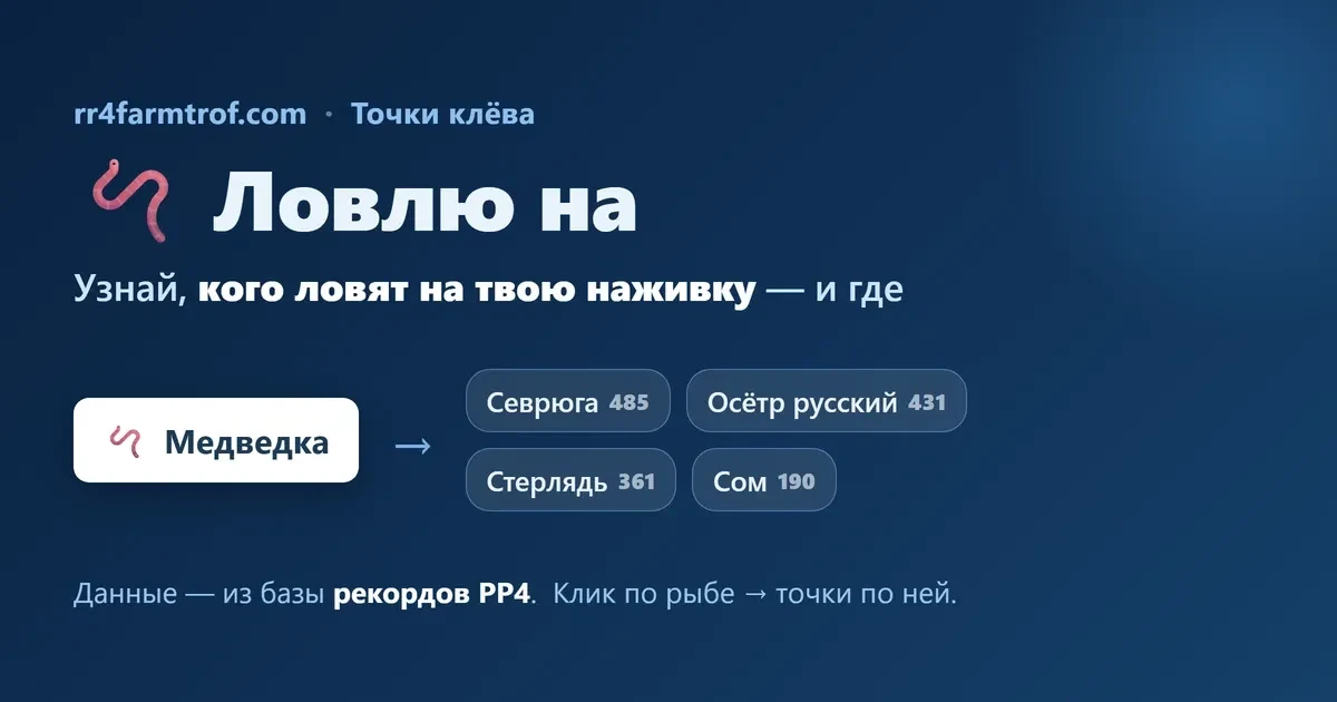 «Ловлю на»: узнай, кого ловят на твою наживку — и где