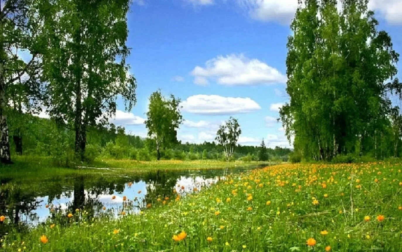 ☀️ С Днём Победы, дорогие братья и сестры!
