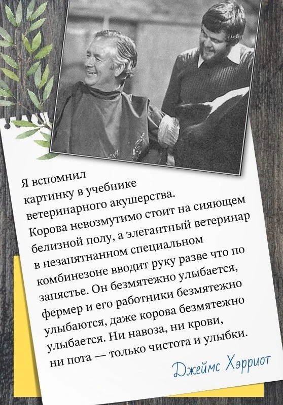 🤔 Вот придумаешь себе мечту, а жизнь такая - раз! - и всё переписывает по-своему.