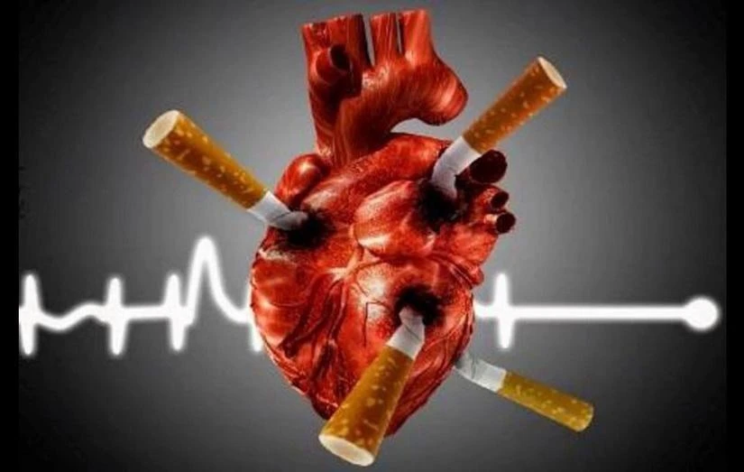 🚬 КУРЕНИЕ И СЕРДЦЕ: Почему ваша «норма» в 20 сигарет в день — это инфаркт через 5 лет?