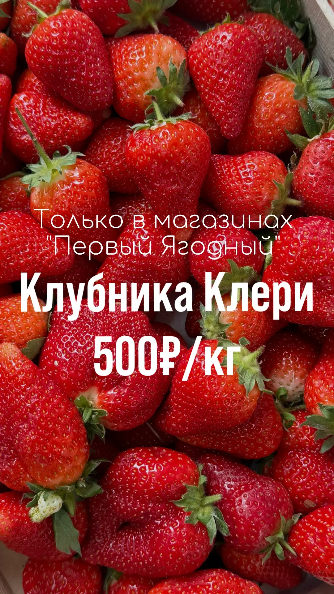 ТОЛЬКО В МАГАЗИНАХ «ПЕРВЫЙ ЯГОДНЫЙ»  Вы можете приобрести клубнику по оооочень сладкой цене 🔥🔥  ВСЕГ