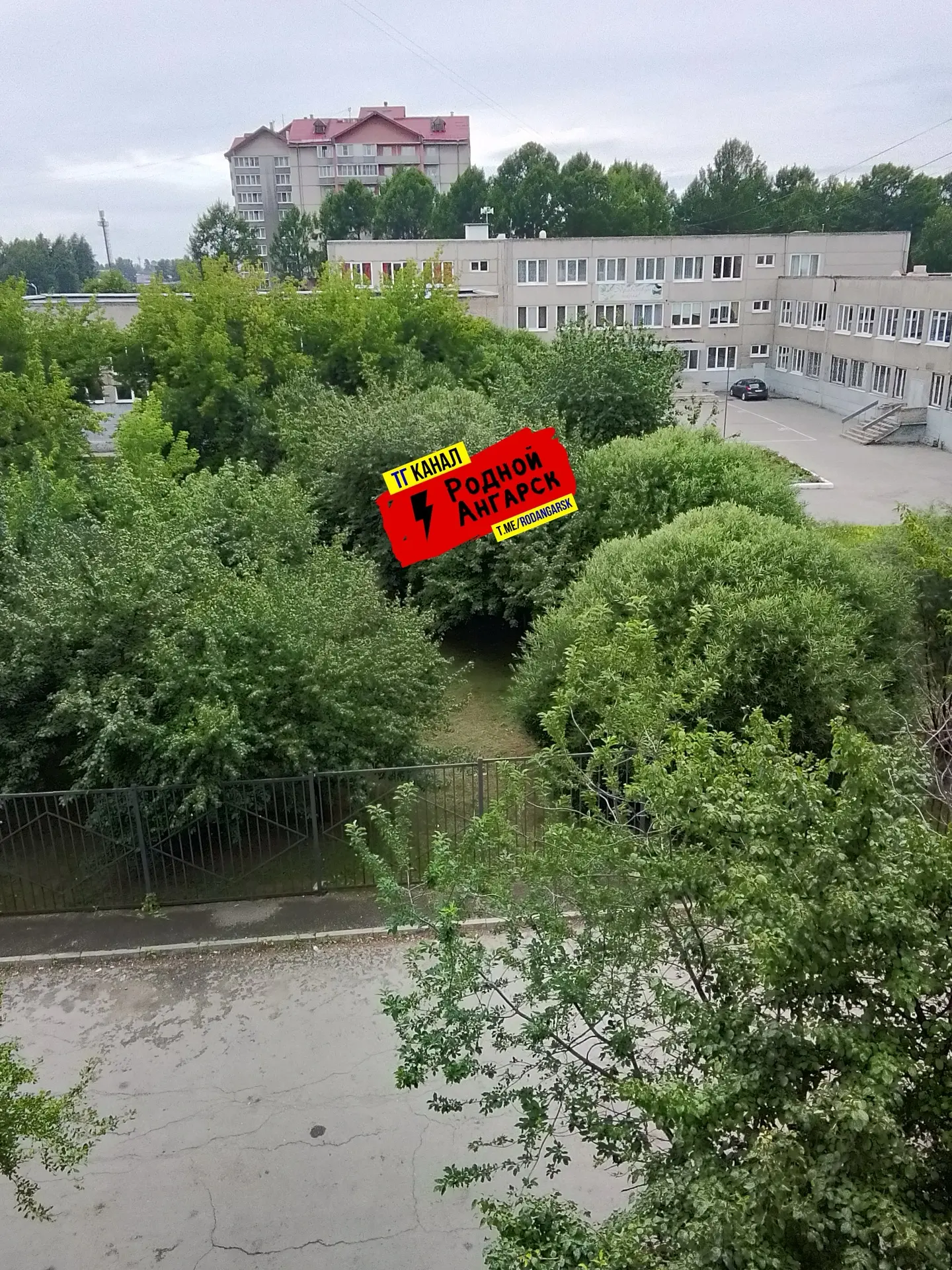 Ангарск. Малолетки бросают  дикие груши по окнам систематически! 18 микрорайон дом 3 с территории 8 