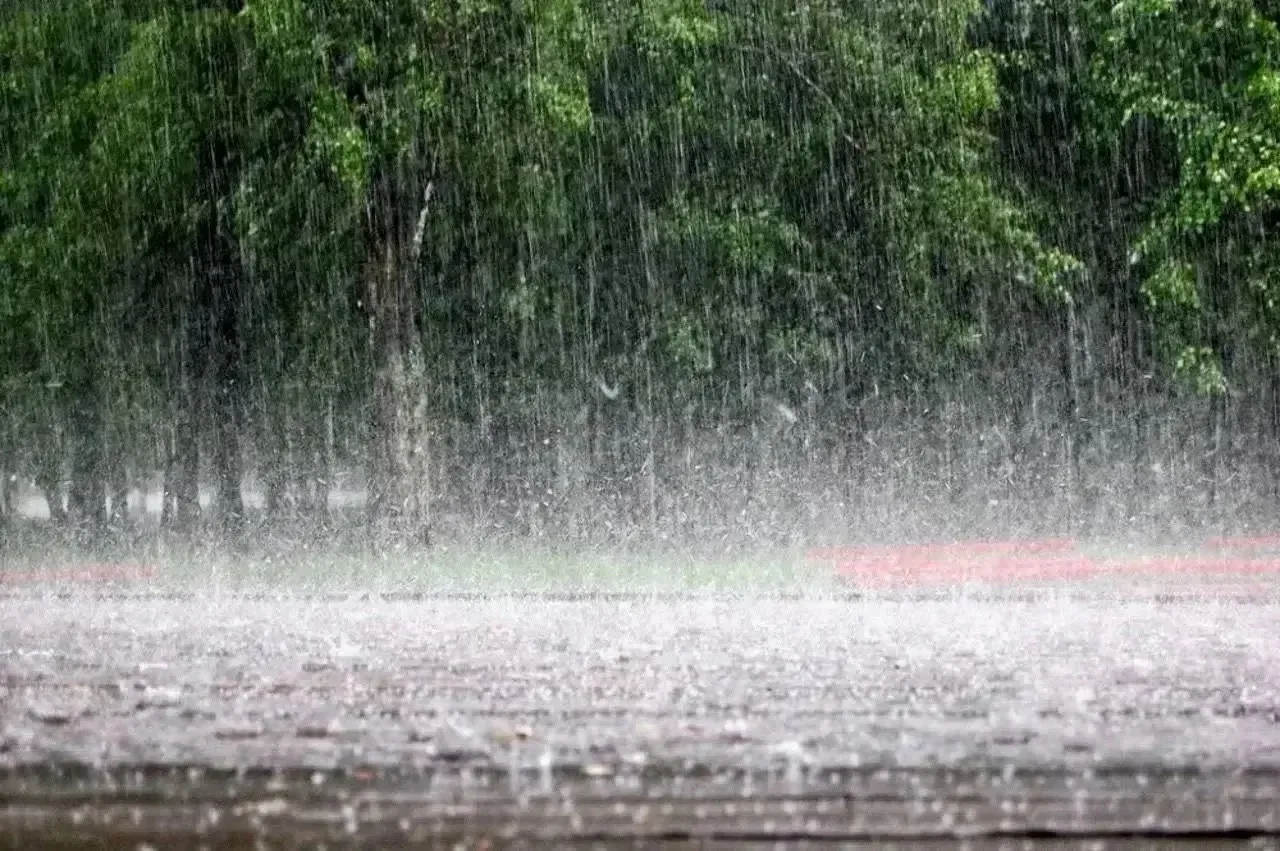 Сильные дожди ожидаются в Нижнем Новгороде 15 июня 🌧️
 
По данным ФГБУ «Верхне-Волжское УГМС», 15 и