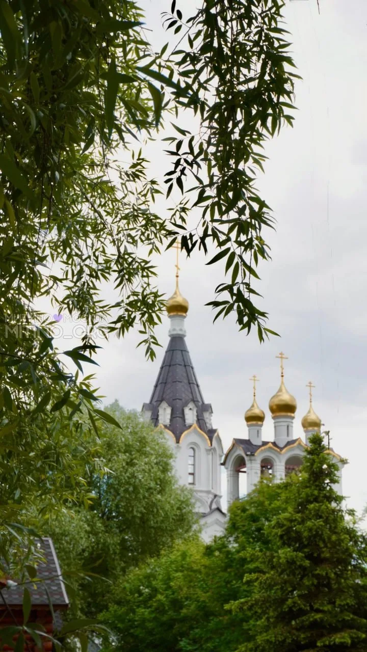 🌳Уголки Митинского парка
