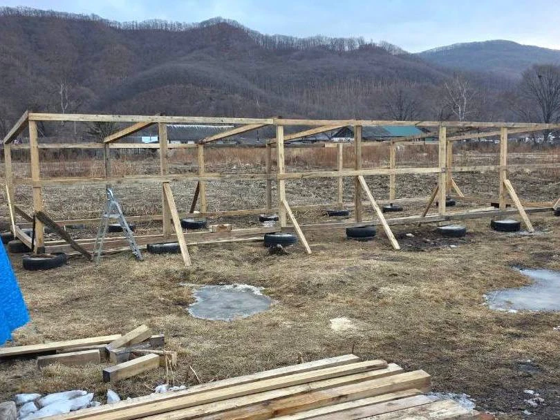 🥒 Социальный контракт помогает многодетным семьям развивать личное подсобное хозяйство  Житель Хасан