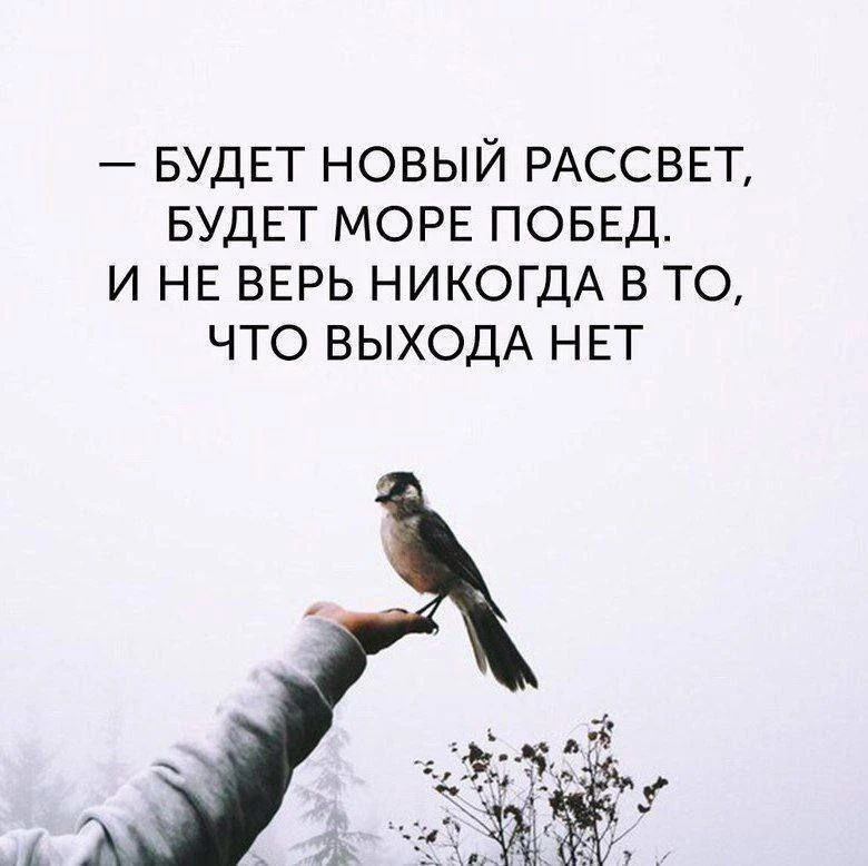 ☀️ Доброго субботнего утра!

Пусть этот день начнётся с мира в душе, ясных мыслей и тихой благодарно
