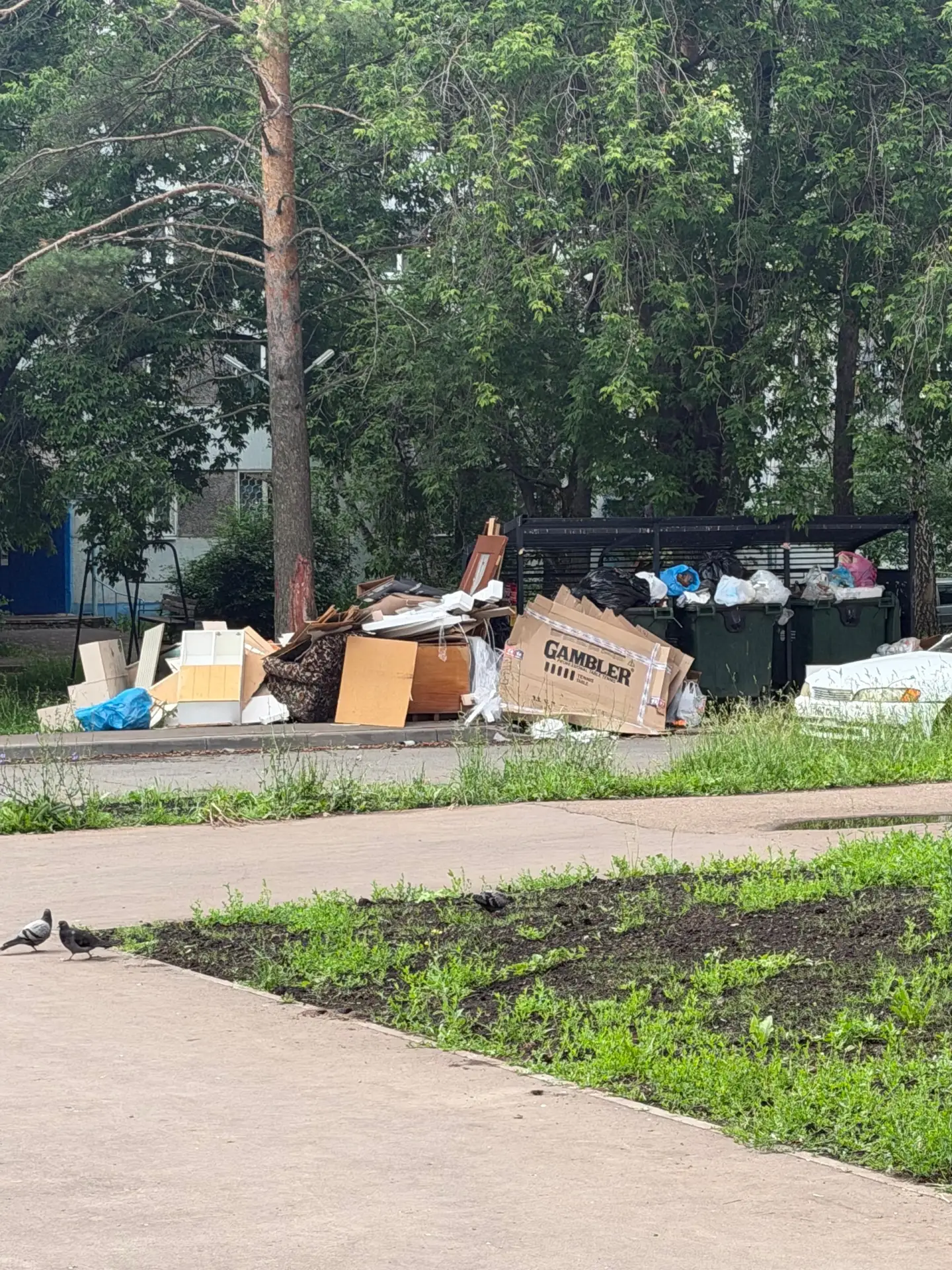 Весь 4 и 6 к-с нового города завален мусором . После постов здесь его конечно вывезут, ...