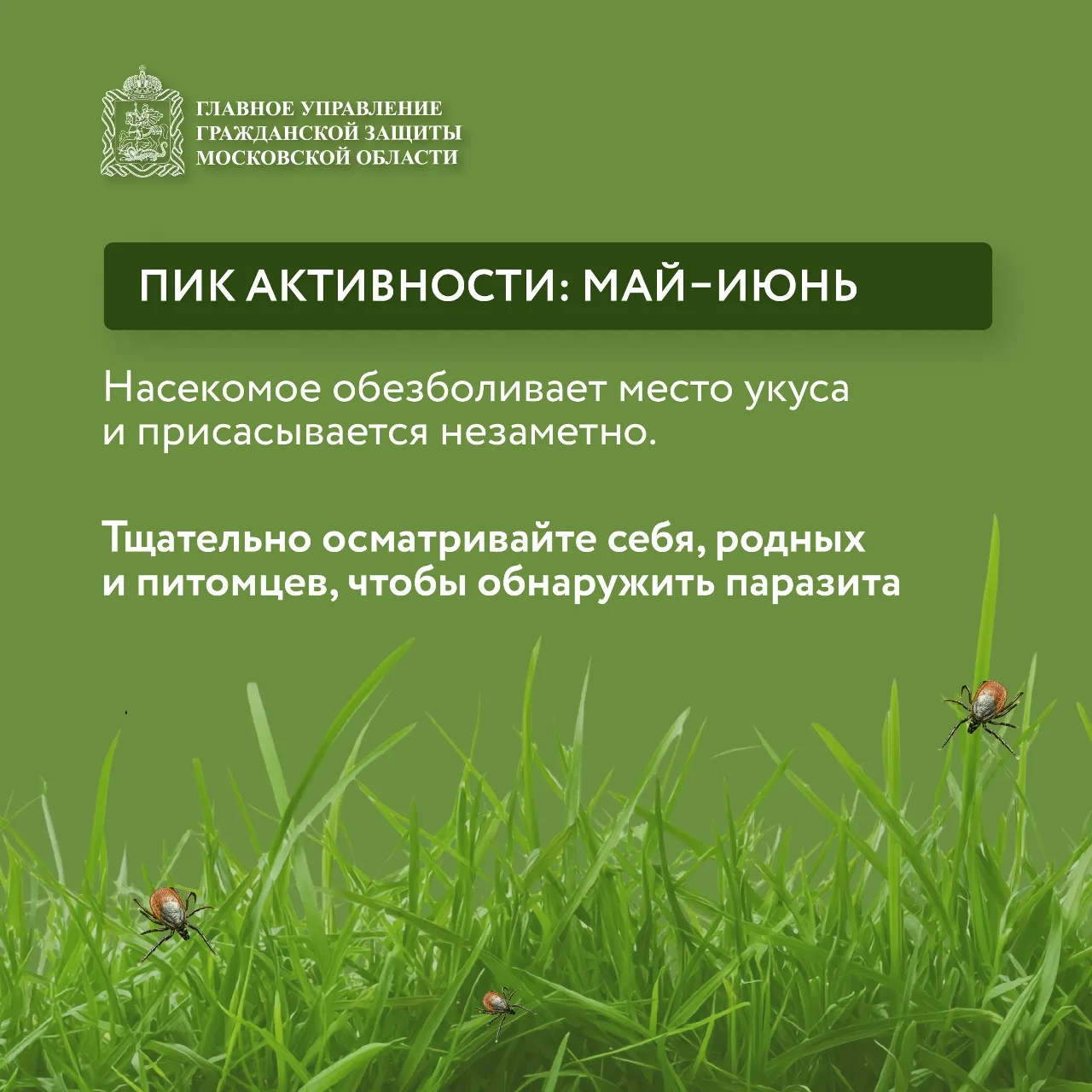 🌱 Май и июнь — пик активности клещей!  🦠 Клещи могут переносить опасные заболевания, такие как энцеф