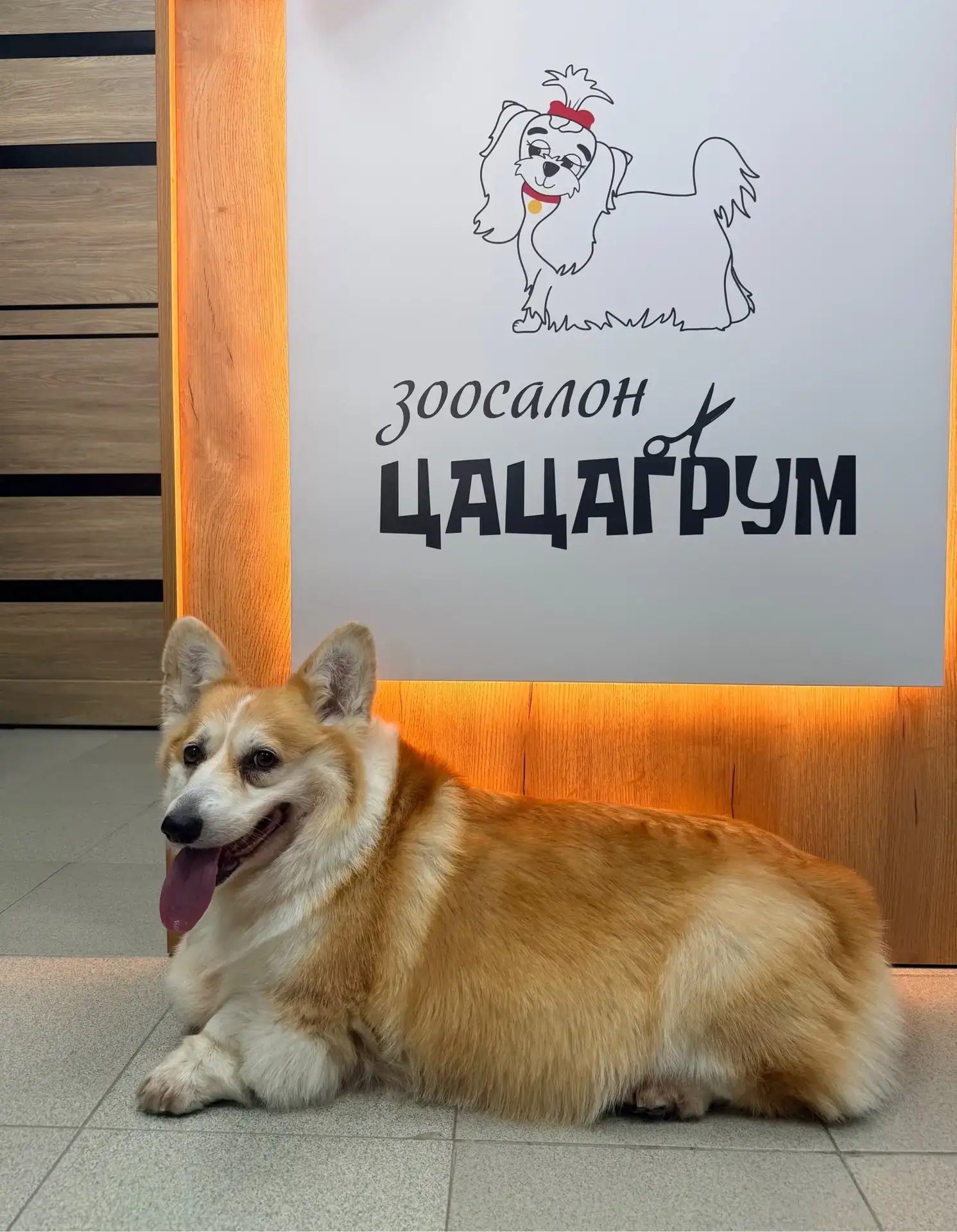 На «Экспресс-линьке» — веселая парочка Гуччи и Банни.