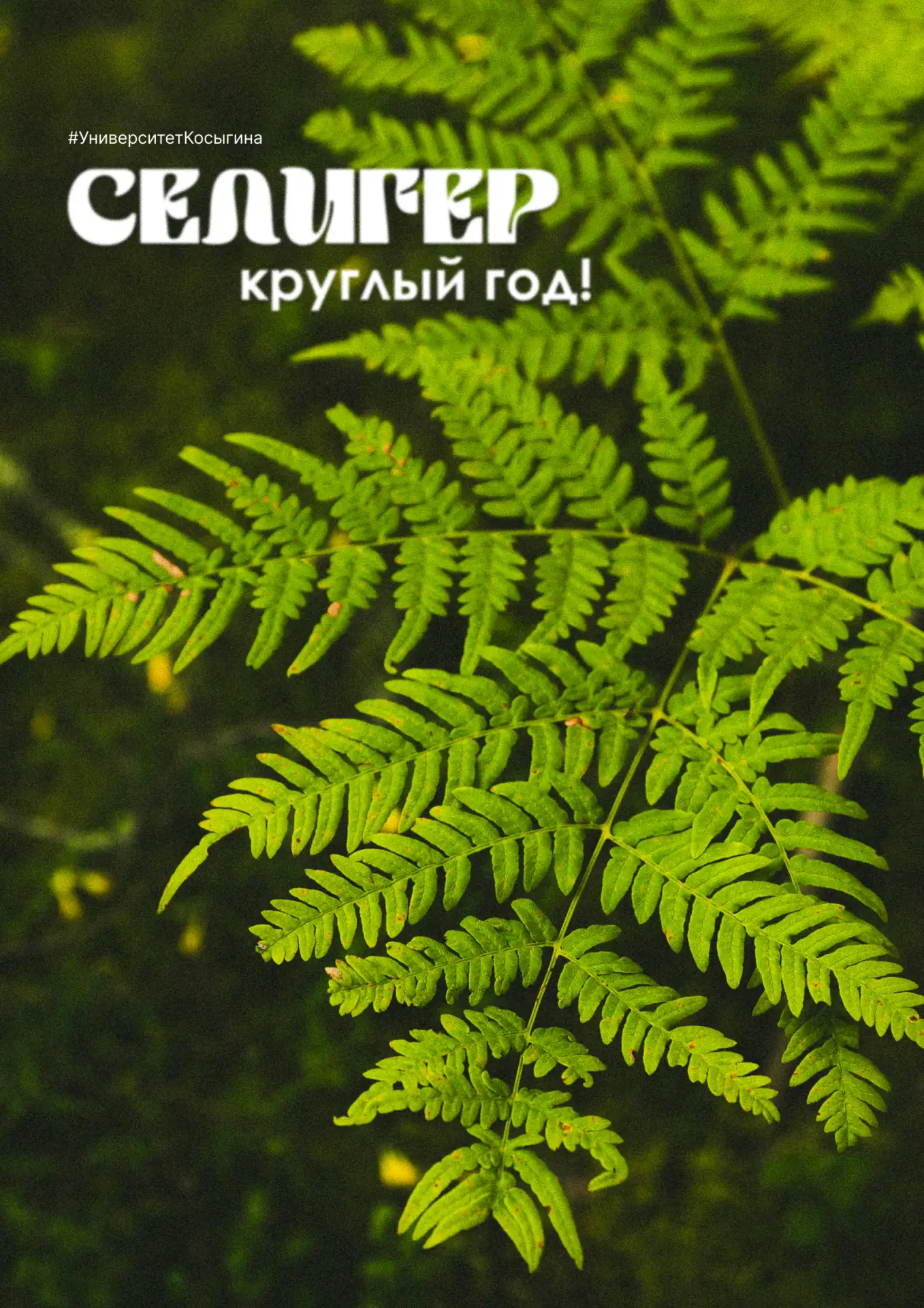 🍃 Здесь такая тишина, что кажется: слышно, как растёт трава и раскрываются цветы.  #РГУимКосыгина  #