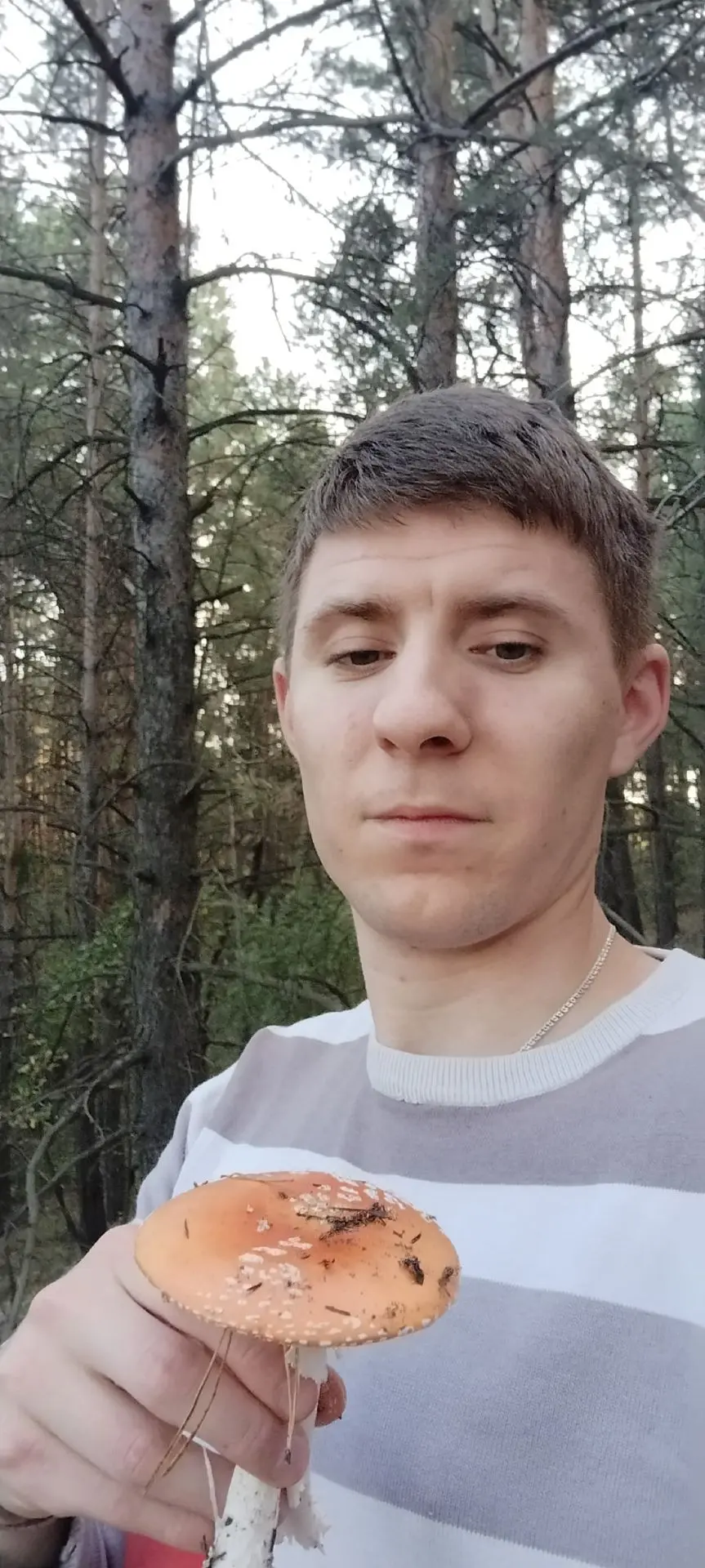 В лесу в воскресенье отличный день был